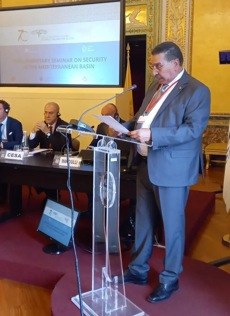 El Consejo de la Nación participa en el Foro de la AP-OTAN en Italia