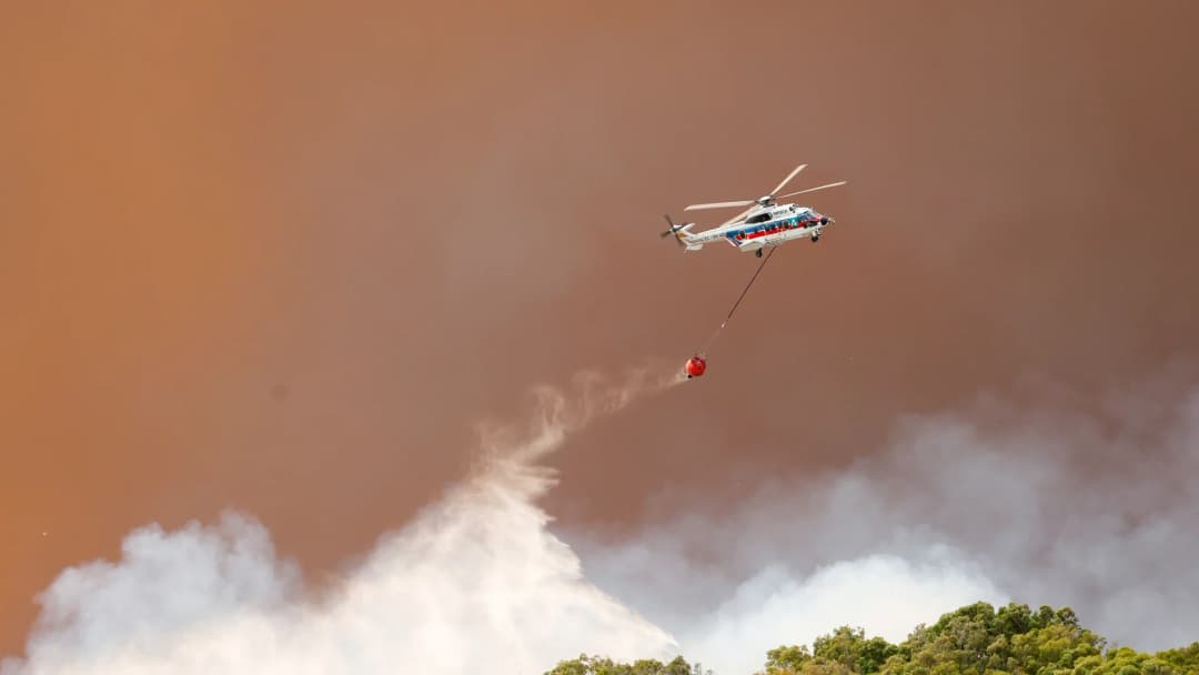 Un incendio declarado este martes en un bosque de la localidad costera de Tarifa, en el extremo sur de España, obligó a evacuar siete hoteles, dos campings y unos 5.000 vehículos