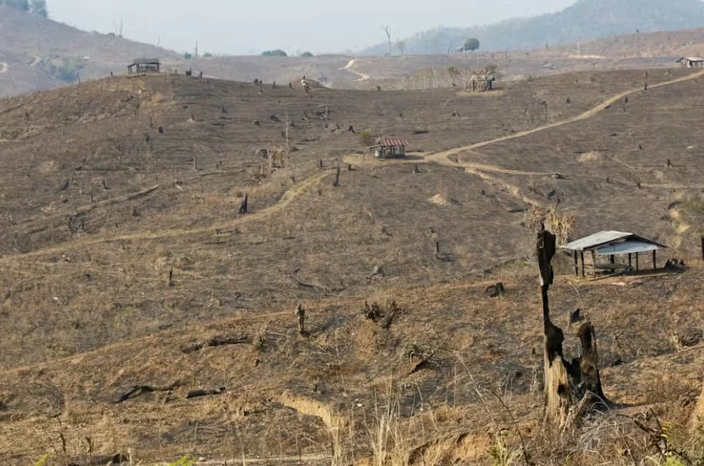 Clima: la ONU advierte que un episodio de calentamiento El Niño es posible este año