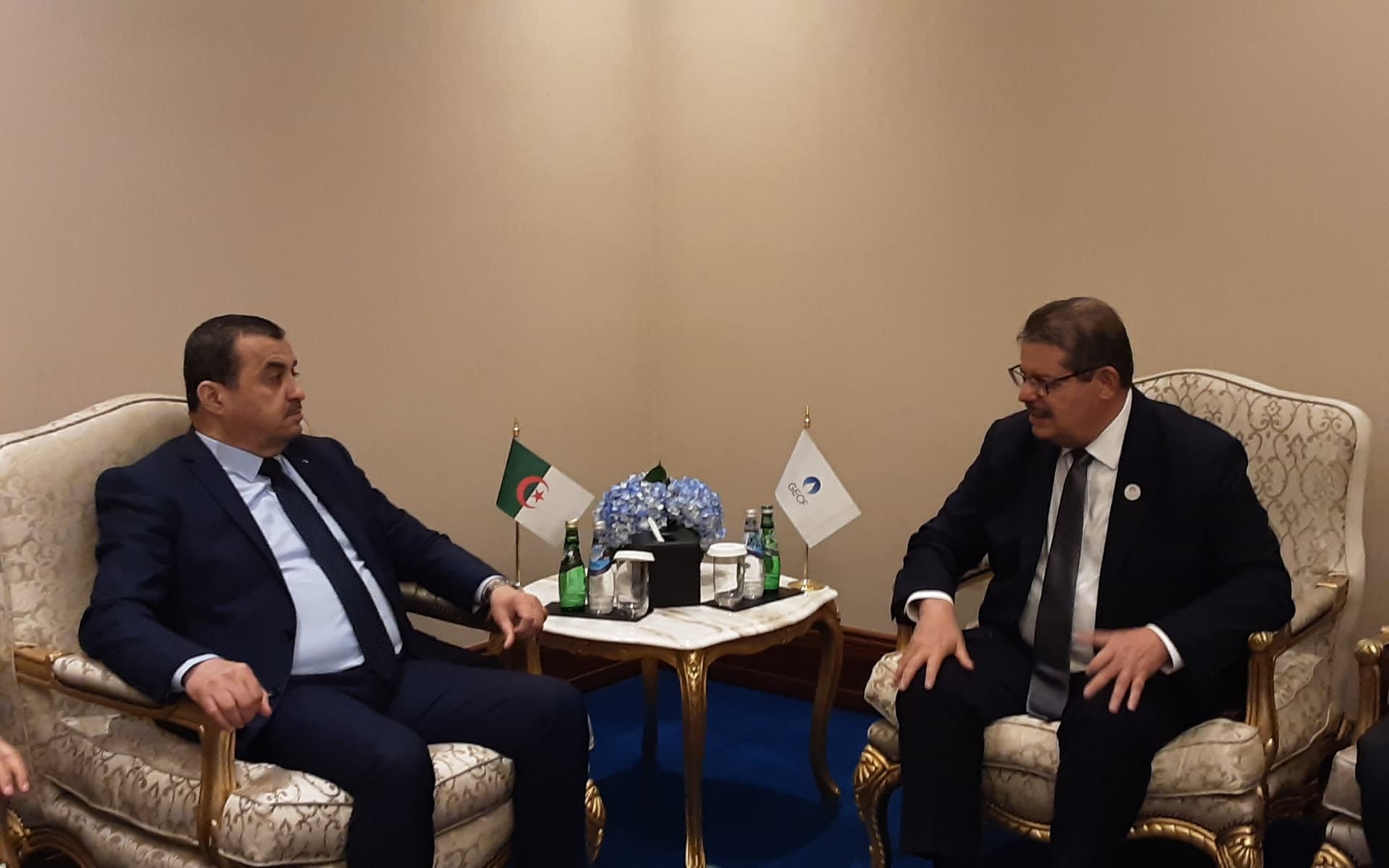 Mohamed Arkab con el SG del GECF