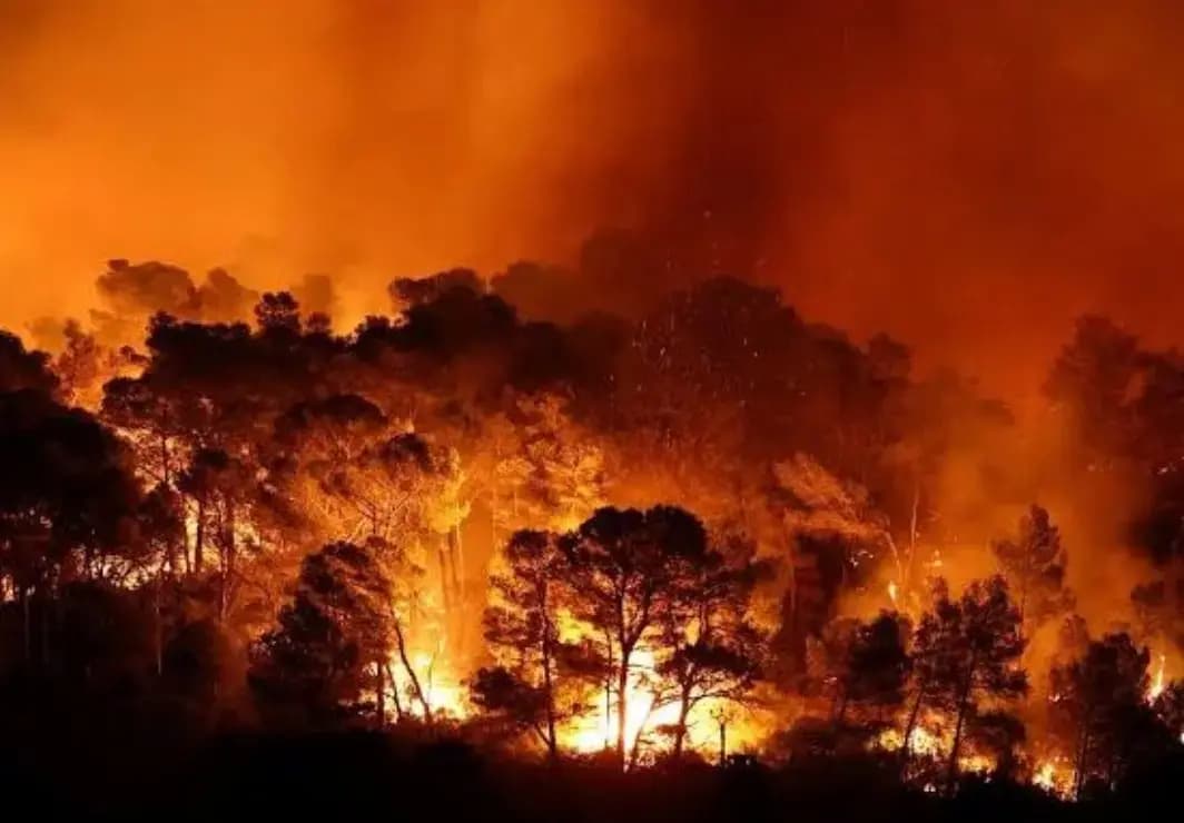 Países europeos hacen frente a incendios de gran magnitud