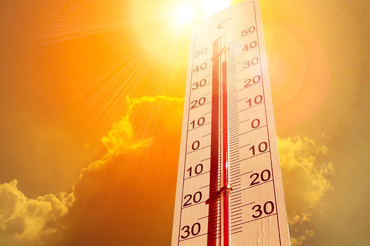 Ola de calor