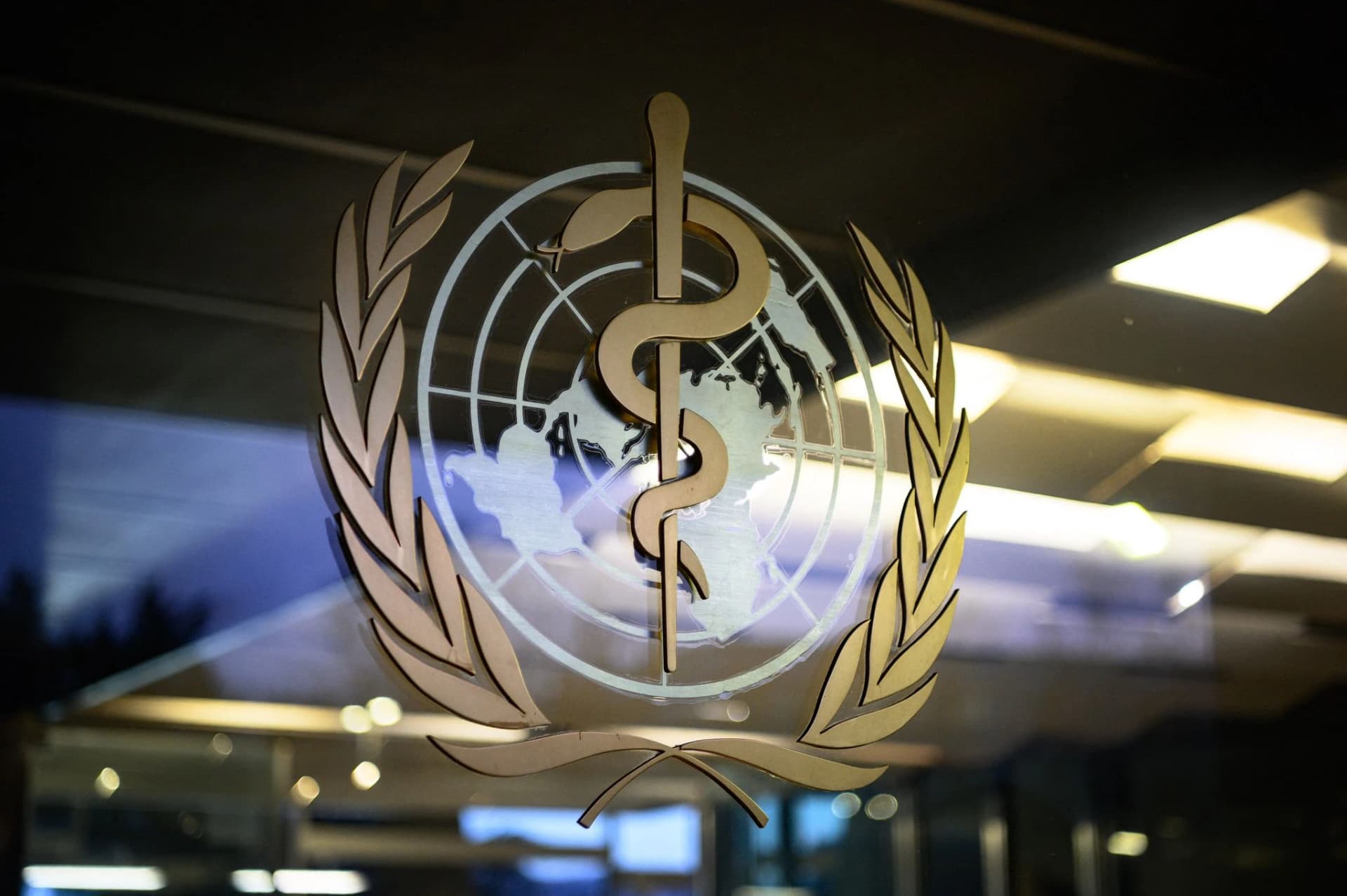 OMS declara una emergencia internacional por la epidemia de Ébola