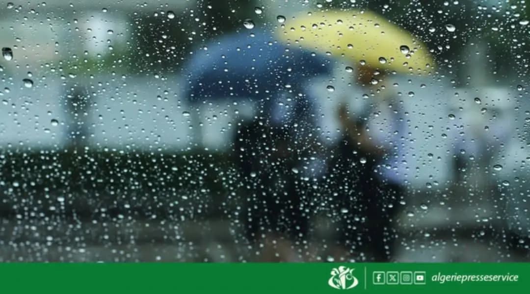 BMS - lluvias