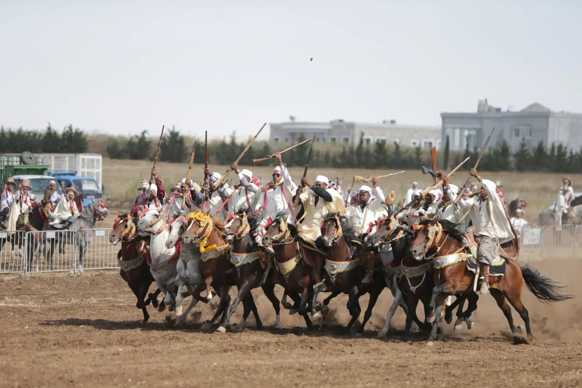 Constantina - Los espectáculos de fantasía, también conocidos como "El Bardiya" o "La Tbourida", son una epopeya ecuestre que representa un cuadro artístico patrimonial lleno de vida, evocando escenas heroicas de la gloriosa historia de Argelia.
