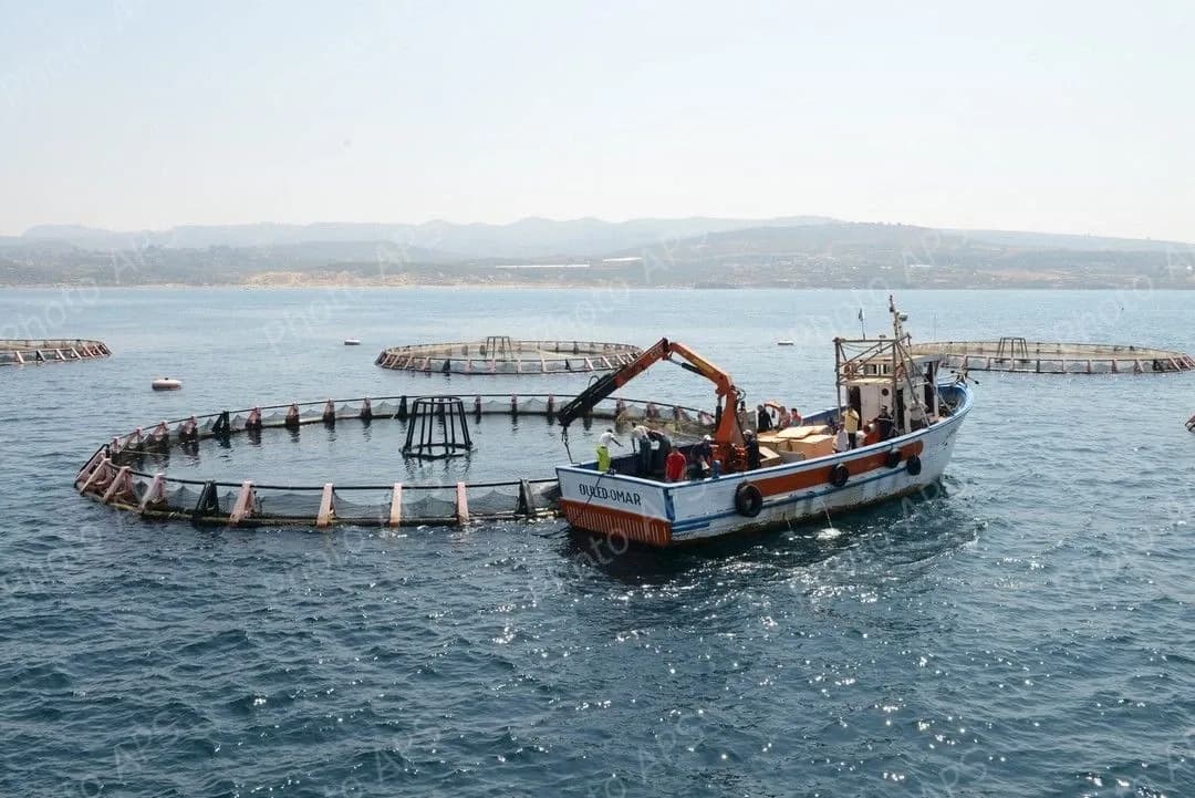 Aquaculture marine