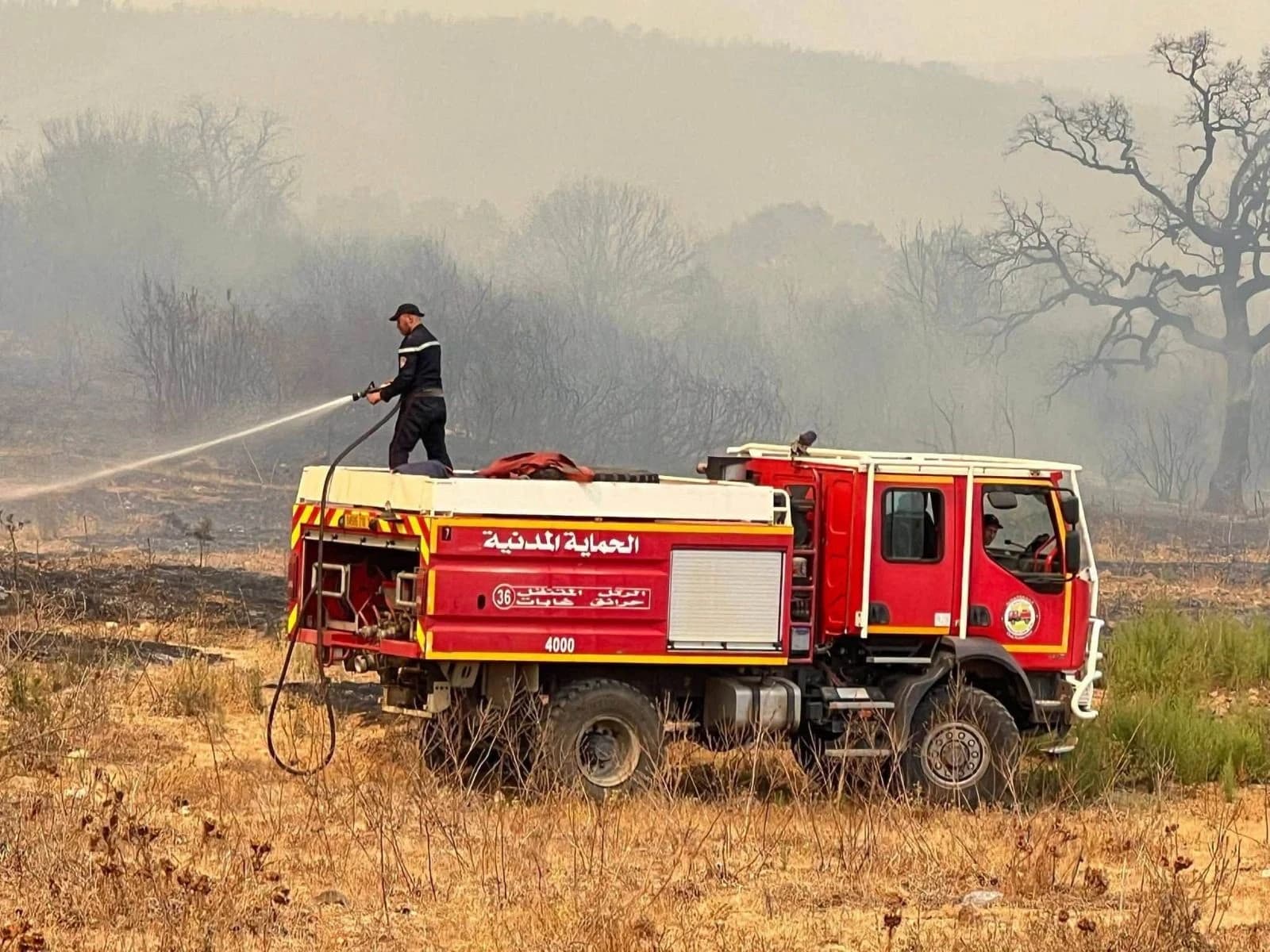 Poursuite des opérations d'intervention sur le terrain pour circonscrire les incendies que plusieurs les wilayas du pays connaissent