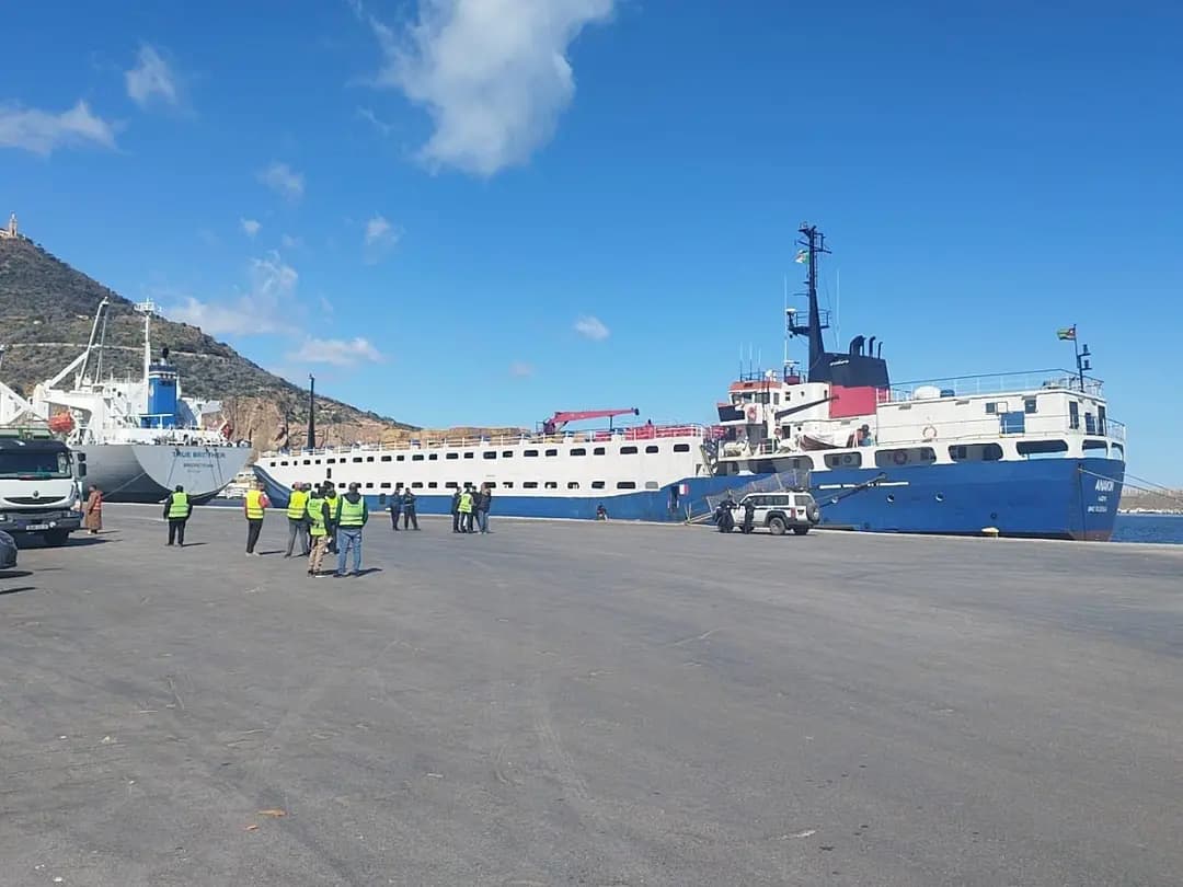 Arrivée d'un navire transportant 7.000 têtes de moutons en provenance d'Espagne