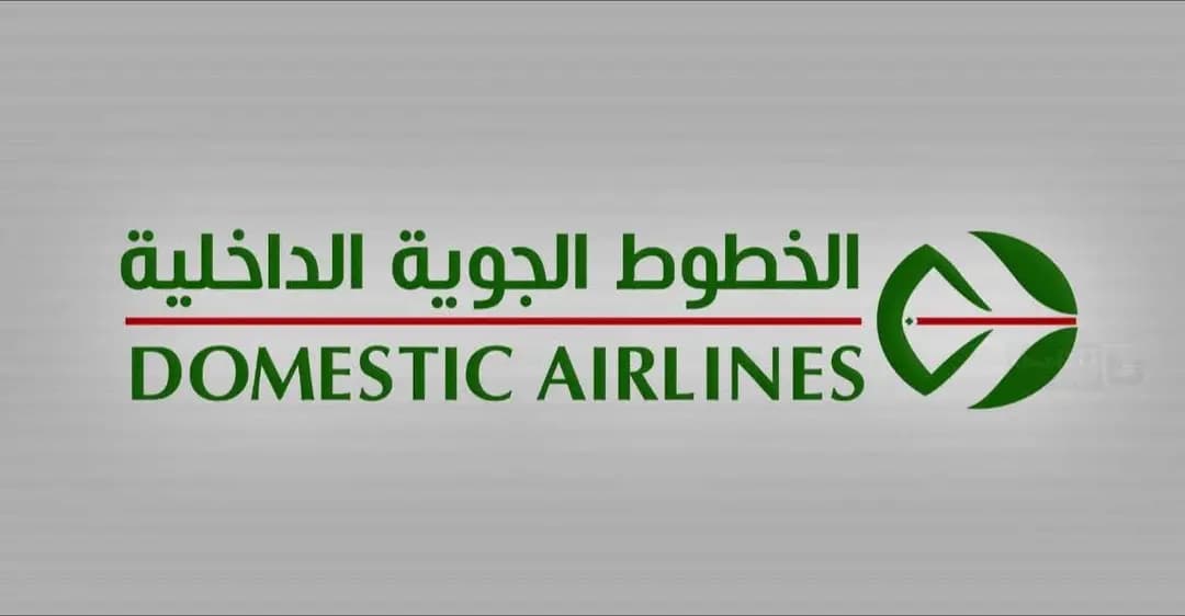 Domestic Airlines 