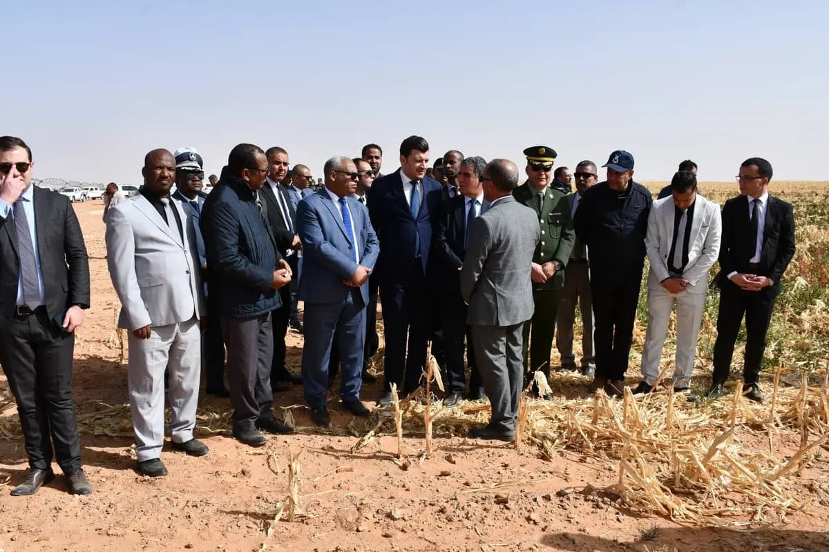 Cerner les besoins en matériels agricoles pour la réussite des récoltes de maïs en grain