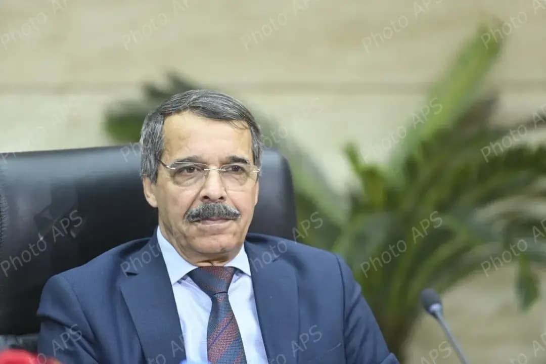 Bouzred souligne l'importance de la contribution du système fiscal à la réalisation des objectifs du développement en Afrique