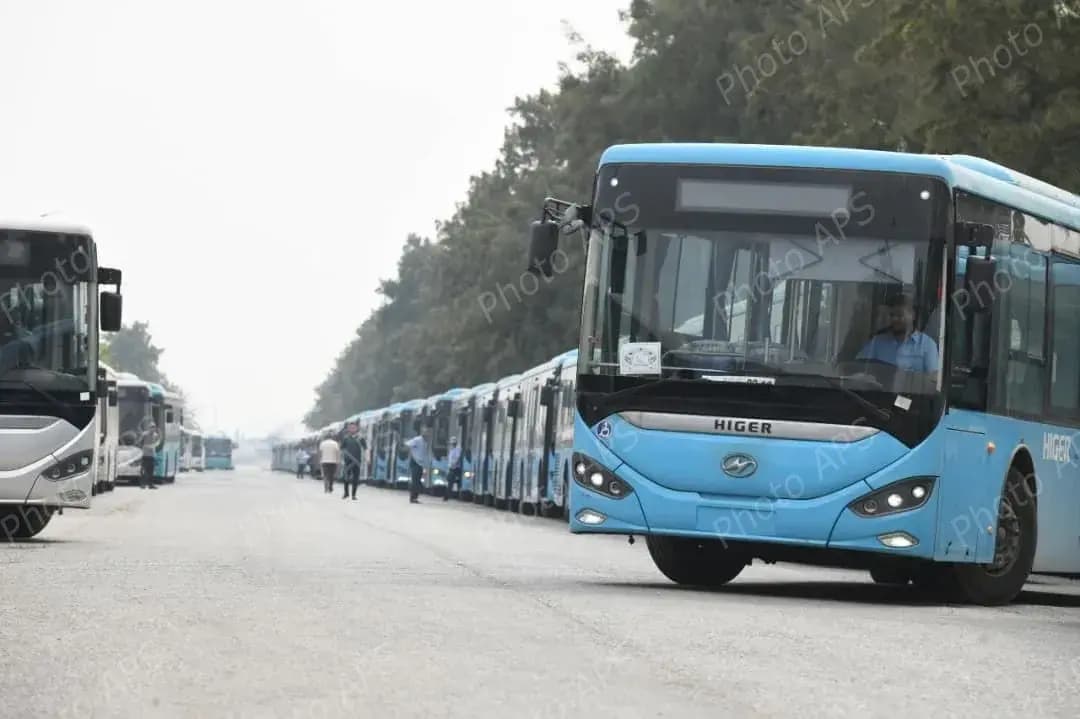 bus