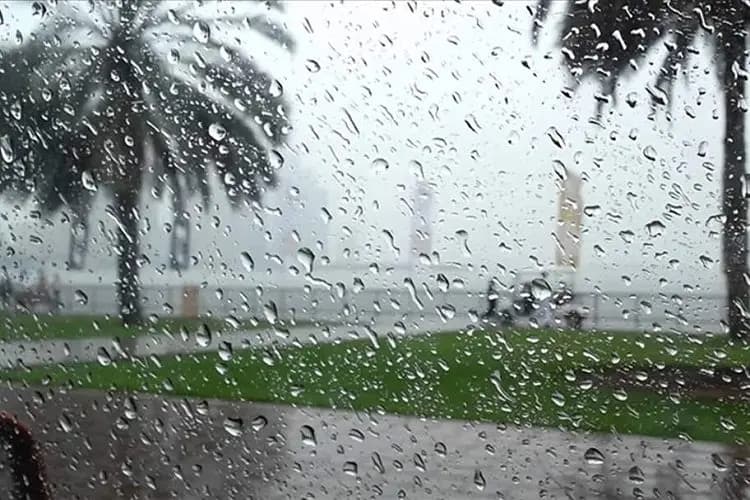 Des pluies orageuses sur plusieurs wilayas jeudi et vendredi 