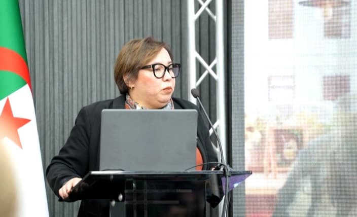 Arhab préside une rencontre nationale et un atelier spécialisé en programmation et développement des industries créatives numériques

 