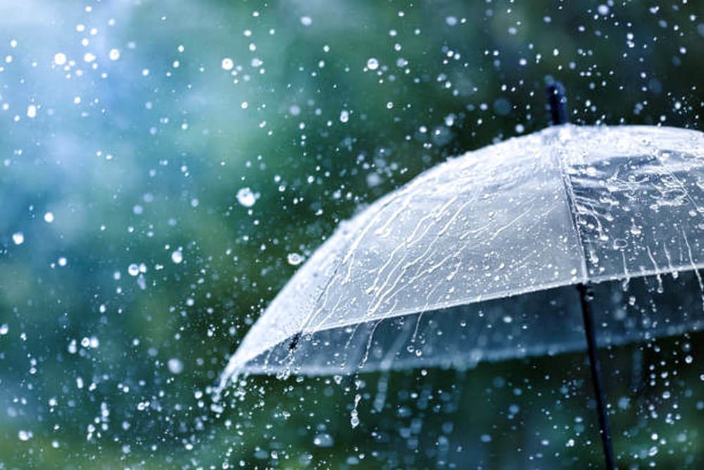 Des pluies orageuses jeudi et vendredi sur plusieurs wilayas du pays