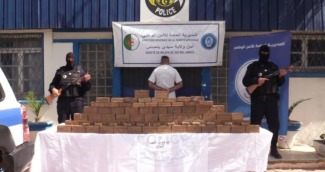 Saisie de plus d'un quintal de kif traité à Béchar et à Sidi Bel-Abbès en provenance du Maroc