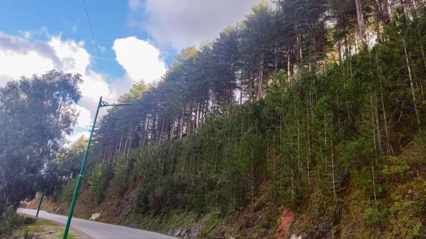Krikou annonce la classification du massif de Collo en tant que parc naturel