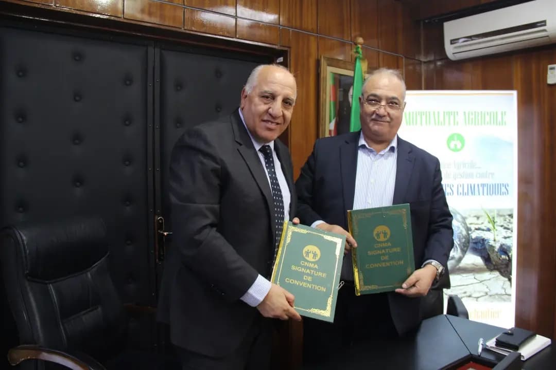 Une convention entre la CNMA et l'ANEXAL pour promouvoir les exportations