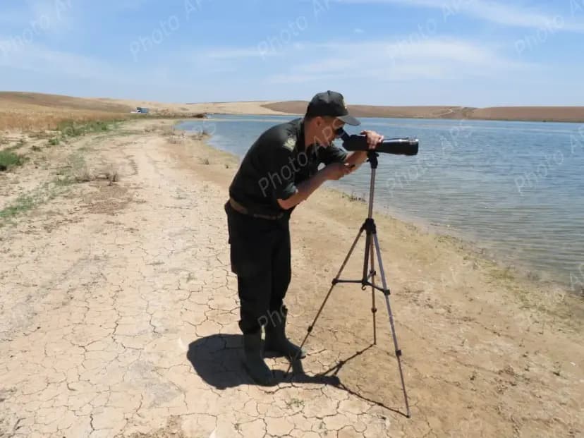Plus de 2 500 oiseaux d’eau nicheurs recensés dans les zones humides et plans d’eau