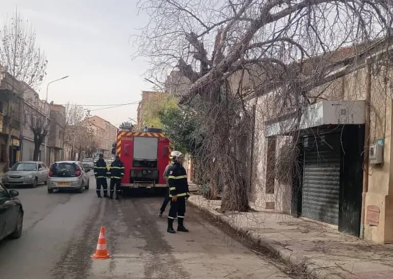 Vents violents : plusieurs interventions de la Protection civile, aucune victime à déplorer