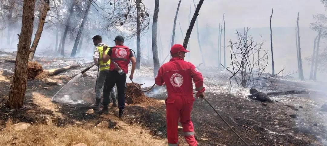Le CRA lance une campagne de solidarité urgente au profit des wilayas de l'Est touchées par les incendies