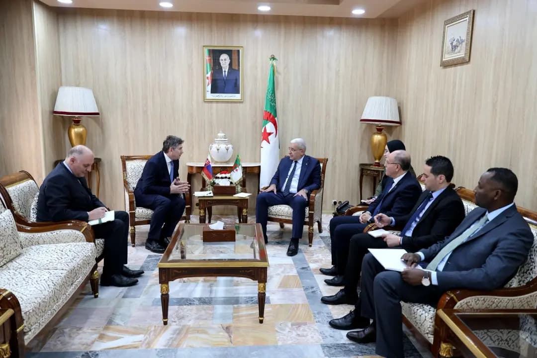 Boughali reçoit l'ambassadeur slovaque en Algérie  