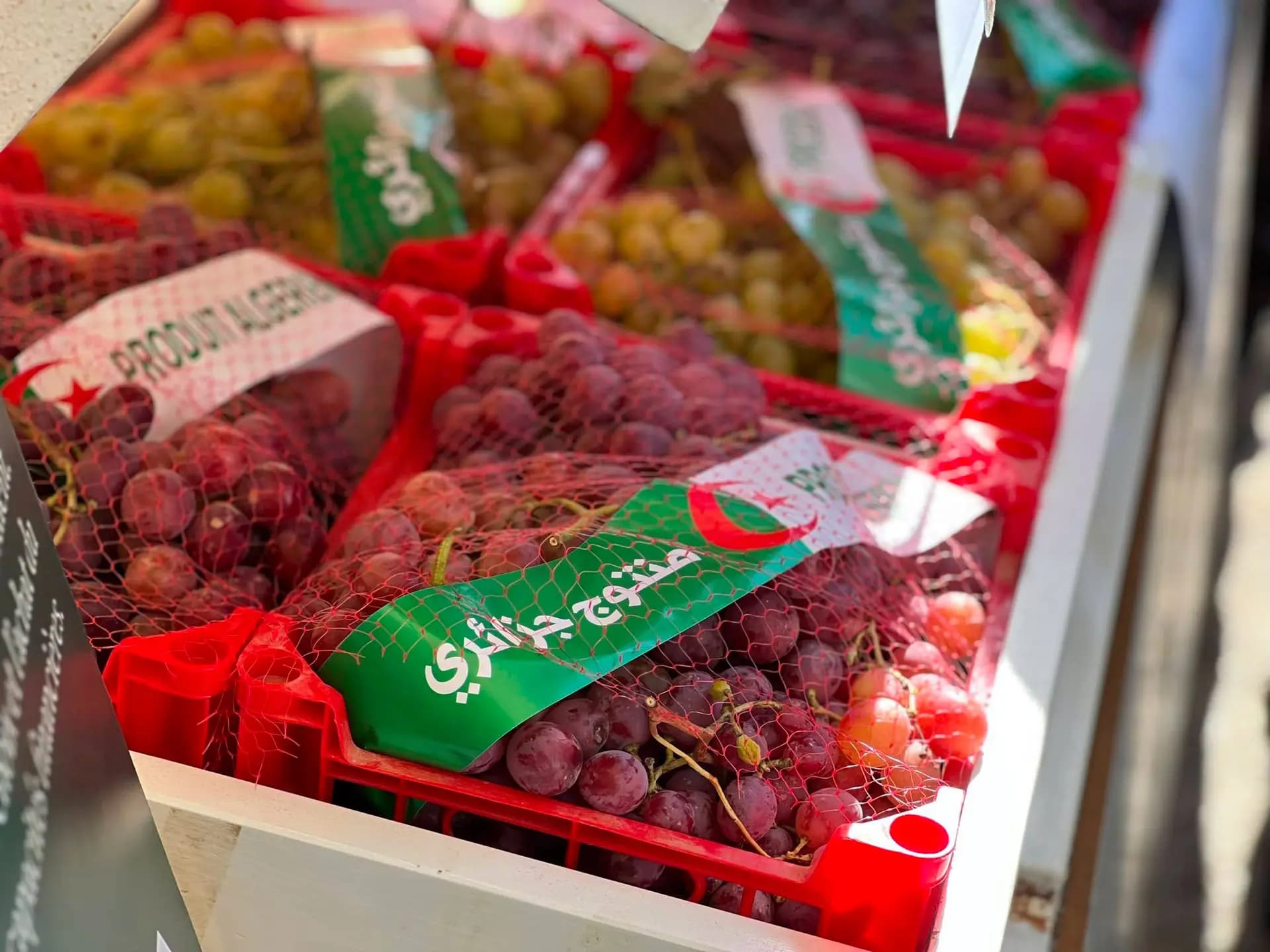 Plus de 50 exposants au Salon national du raisin

