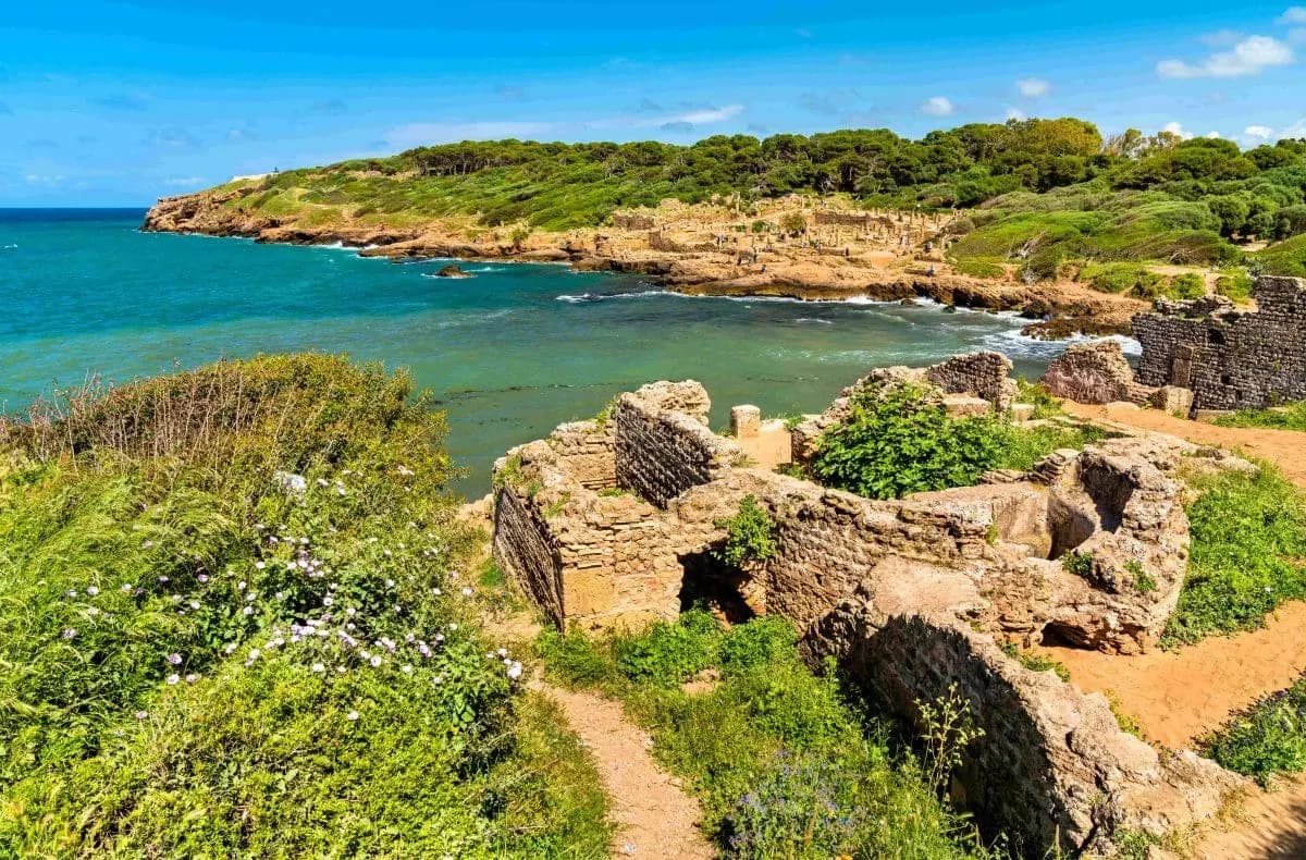 L'UNESCO salue les efforts de l'Algérie pour la préservation du site archéologique de Tipasa