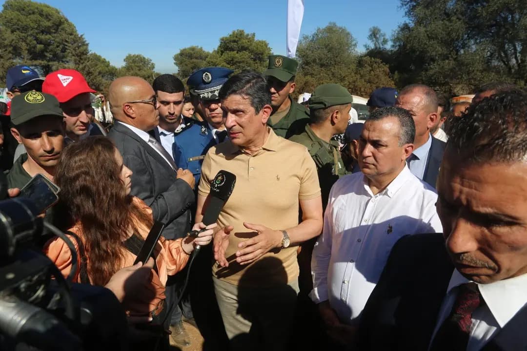 Plus de 12.000 arbres plantés dans la wilaya d'Alger