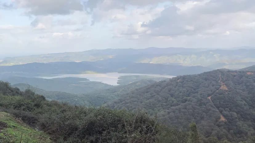 Krikou annonce la classification du massif de Collo en tant que parc naturel