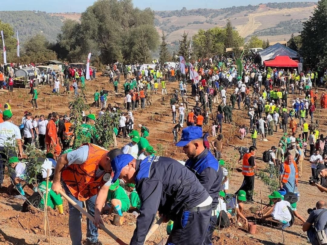 Campagne de plantation d'un million d'arbres