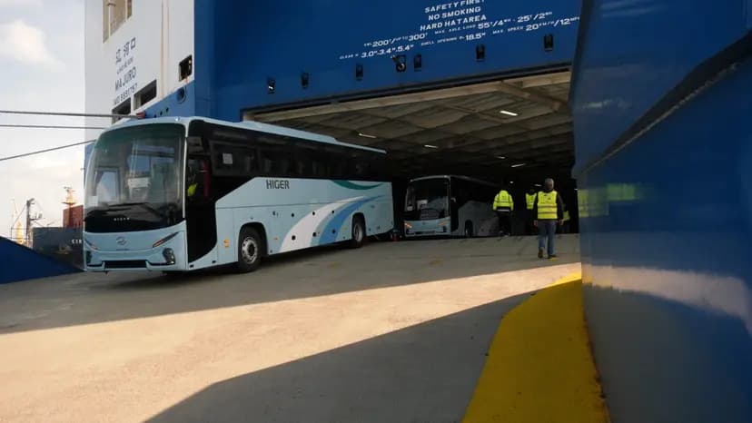 Programme d'importation de 10.000 bus: réception d'une première cargaison au port d'Alger
