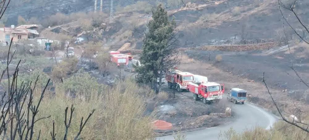 Renforcement des unités d’intervention à Jijel par l’envoi de détachements supplémentaires