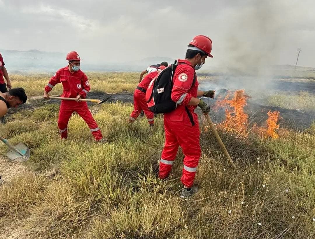 Le CRA lance une campagne de solidarité urgente au profit des wilayas de l'Est touchées par les incendies