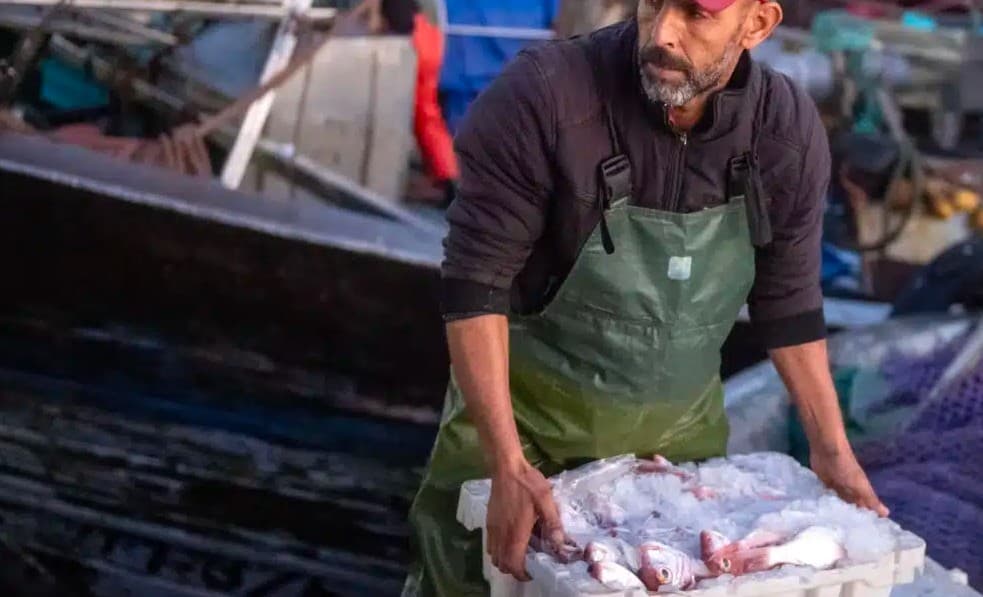 "50 ans après la fin du Sahara espagnol, l'exploitation par le Maroc des ressources naturelles du Sahara occidental occupé"