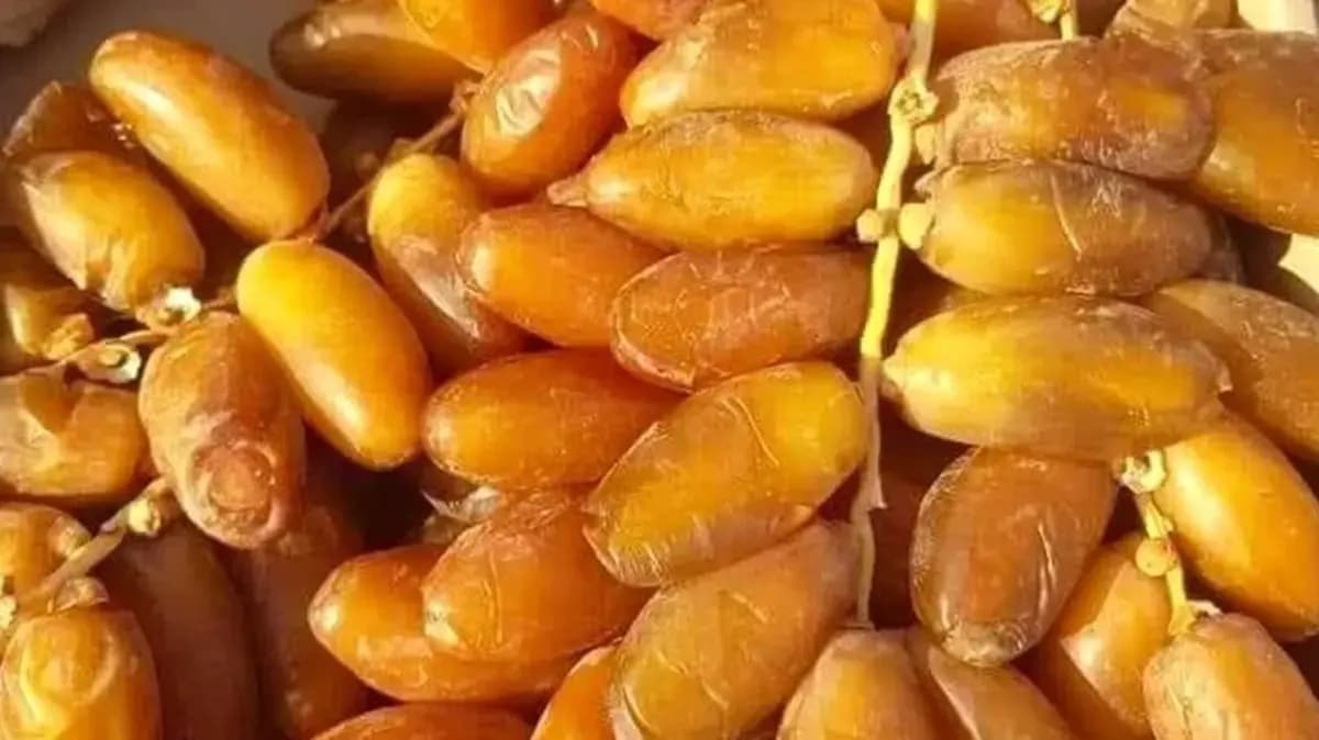 Le Salon national des dattes du 29 au 31 octobre à Biskra