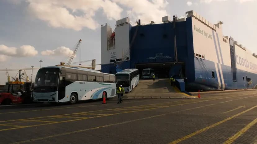 Programme d'importation de 10.000 bus: réception d'une première cargaison au port d'Alger