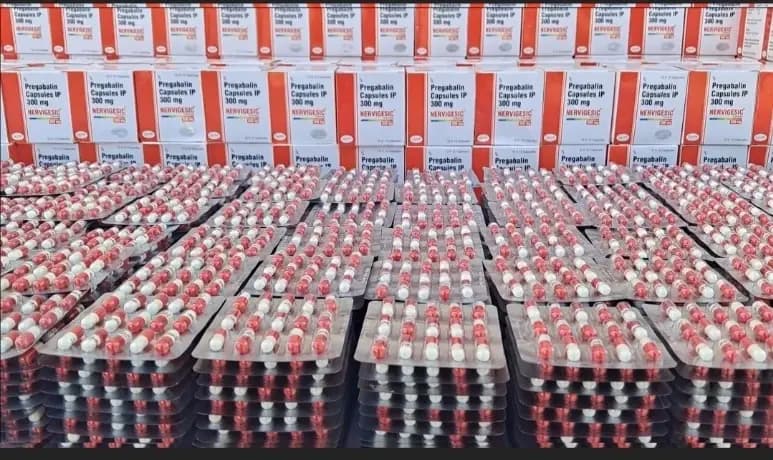 Saisie d'importantes quantités de drogues durant le troisième trimestre 2025