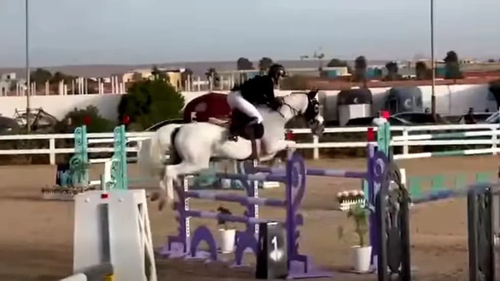 Equitation/saut d’obstacles: Aït Lounis Brahim remporte le Grand Prix 3 étoiles du concours national 