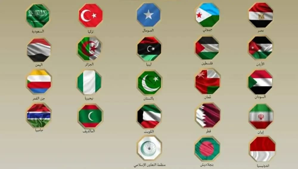 Les ministres des Affaires étrangères de 22 pays arabes et musulmans condamnent la visite d'un responsable sioniste dans le territoire du Somaliland