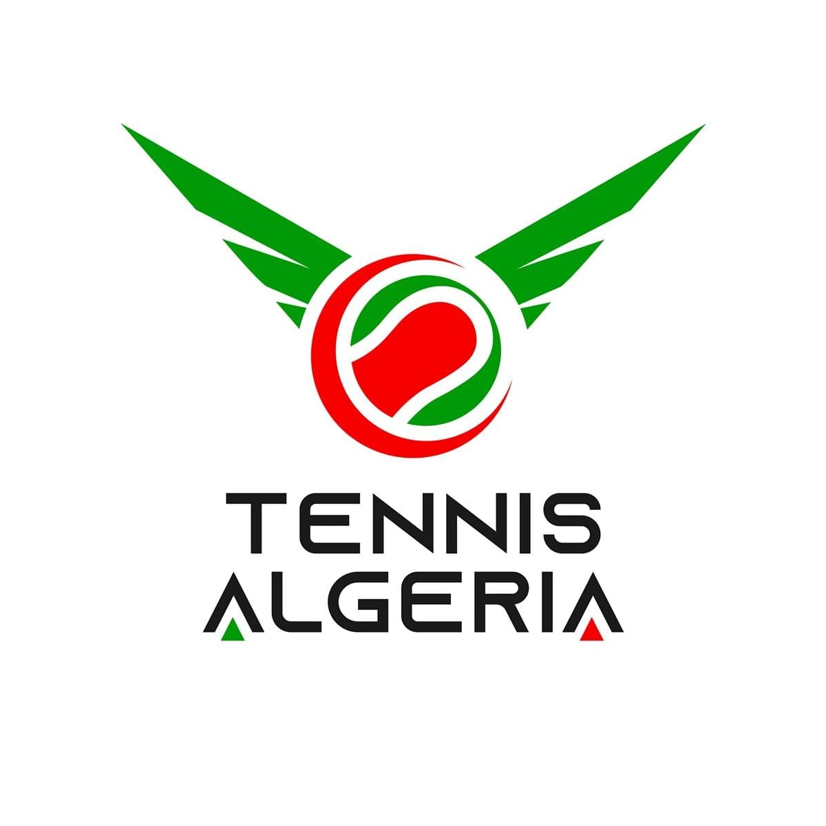 Tennis: Abdelhak Hameurlaine nommé au poste de DTN 