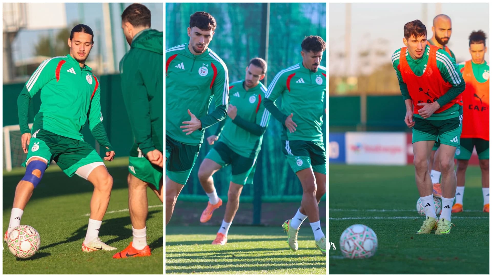 les "Verts" à la conquête du dernier carré