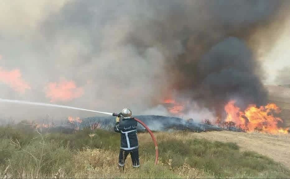 Poursuite des opérations d'extinction des incendies de forêt à travers le pays avec d'importants moyens humains et matériels mobilisés