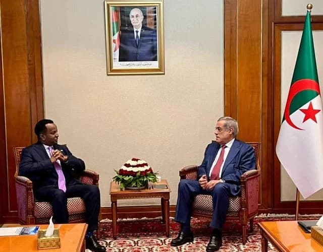  Le Premier ministre Nadir Larbaoui reçoit le ministre des Affaires étrangères et de la Coopération internationale de la République fédérale de Somalie Abdisalam Abdi Ali.