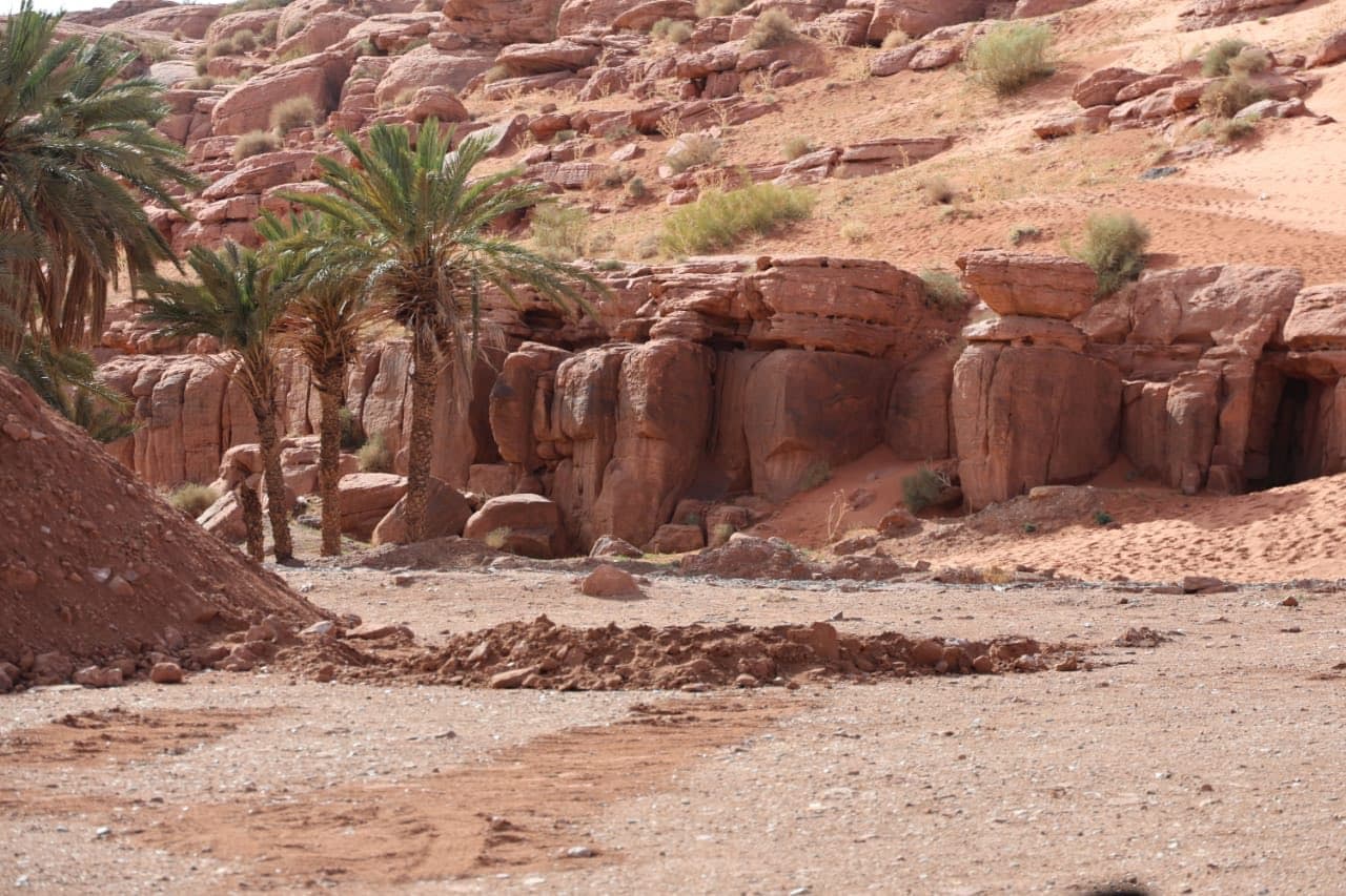 Said Sayoud à Naâma