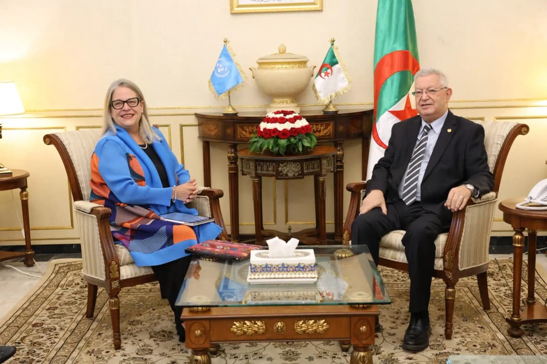 Nasri reçoit l'ambassadrice, coordinatrice résidente de l'ONU en Algérie