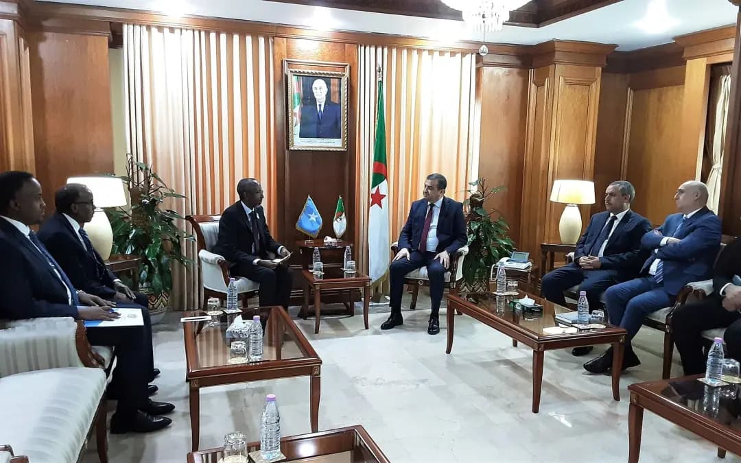 Arkab souligne la disponibilité de l'Algérie à accompagner la République de Somalie dans le développement du secteur des hydrocarbures