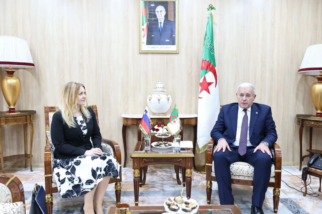 Boughali reçoit l'ambassadrice de la République de Slovénie en Algérie