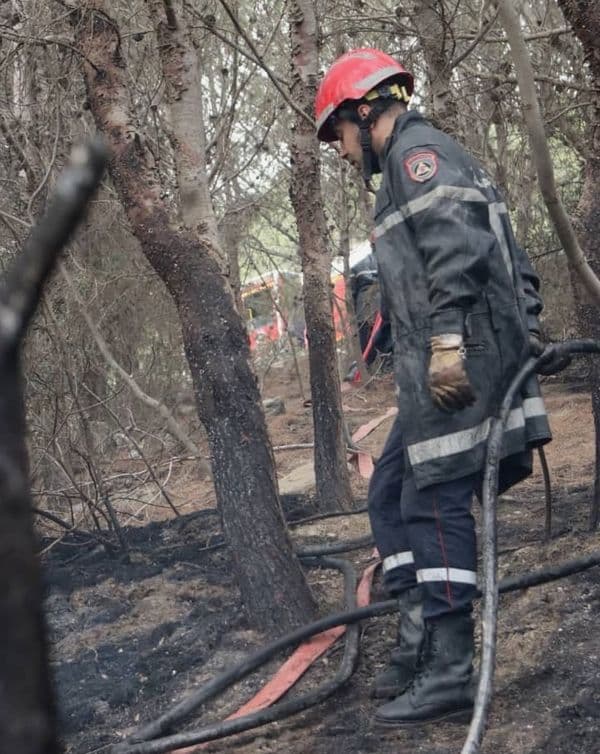 Feux de forêts à Tipaza 