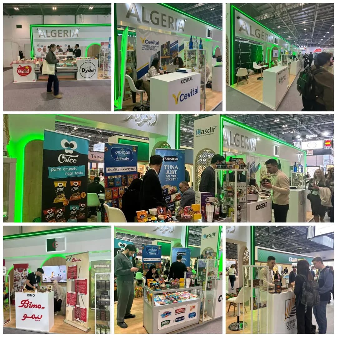 IFE 2026 de Londres: la participation algérienne couronnée par la conclusion de contrats d'exportation et d'accords de coopération 